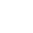 lqIcon